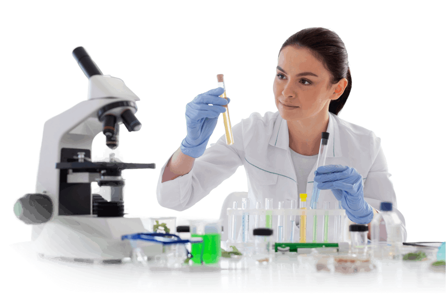 ImmunoMet research